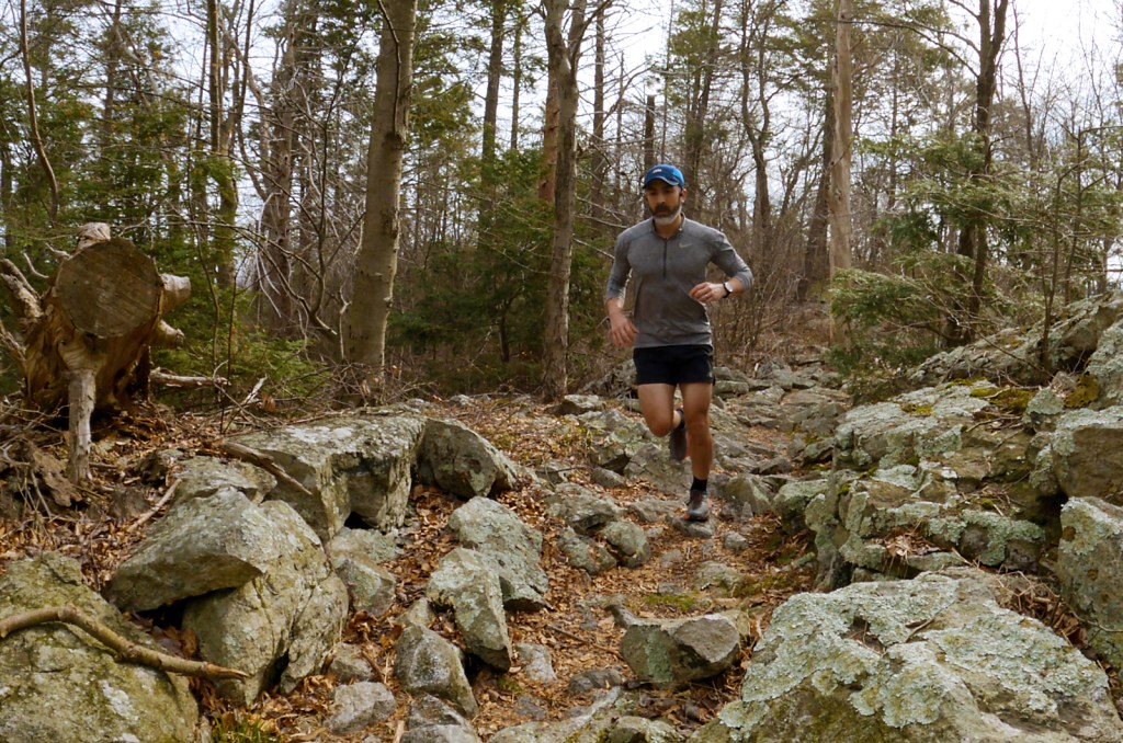 Between Bear Rocks and Knife's Edge on the Appalachian Trail