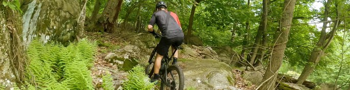 Specialized Phenom Comp Saddle