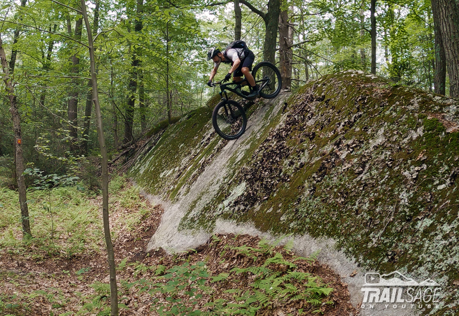 Hutchinson Trail at Sterling Forest State Park in New York