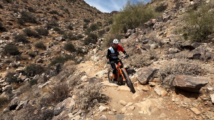 Mesquite Trail - White Tank Regional Park, AZ